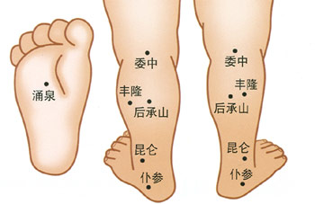 小兒推拿常用穴位：下肢部