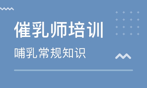 催乳師培訓多少錢